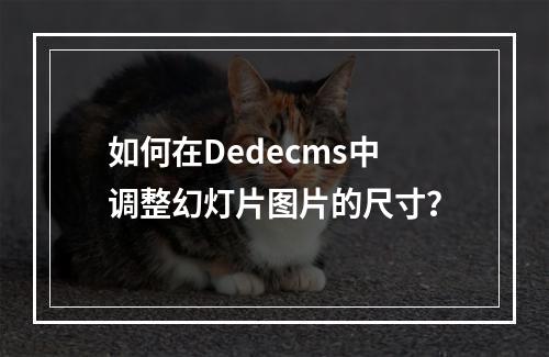 如何在Dedecms中调整幻灯片图片的尺寸?