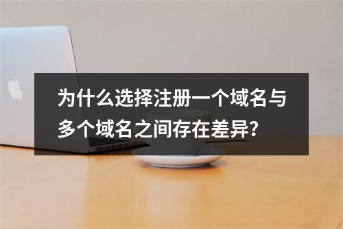 为什么选择注册一个域名与多个域名之间存在差异?