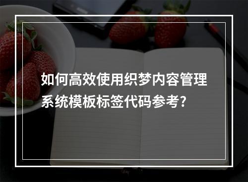 如何高效使用织梦内容管理系统模板标签代码参考?