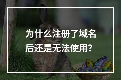 为什么注册了域名后还是无法使用?