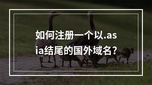 如何注册一个以.asia结尾的国外域名?