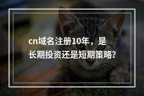 cn域名注册10年,是长期投资还是短期策略?