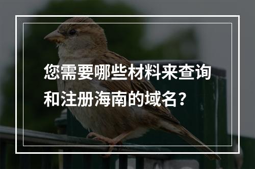 您需要哪些材料来查询和注册海南的域名?