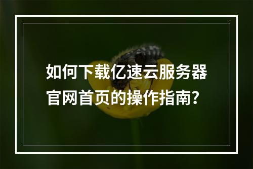 如何下载亿速云服务器官网首页的操作指南？