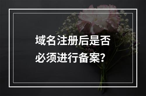 域名注册后是否必须进行备案?
