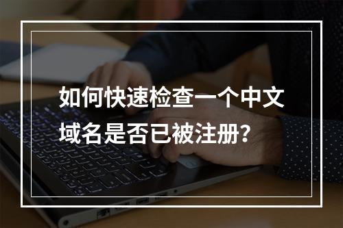如何快速检查一个中文域名是否已被注册?