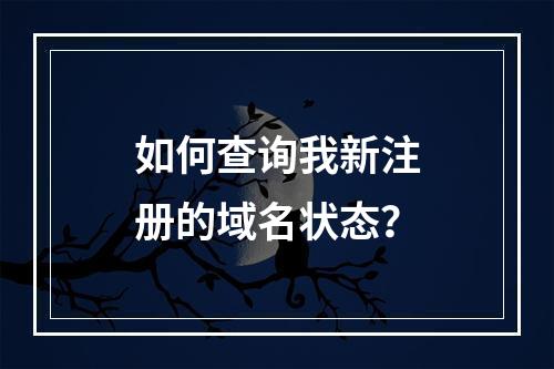 如何查询我新注册的域名状态?