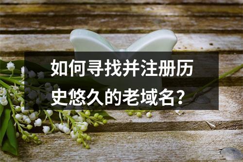 如何寻找并注册历史悠久的老域名?