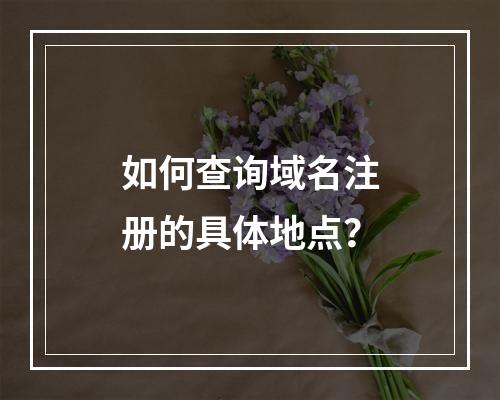 如何查询域名注册的具体地点?