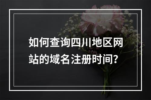如何查询四川地区网站的域名注册时间?