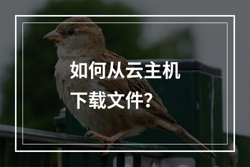 如何从云主机下载文件？