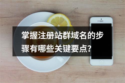 掌握注册站群域名的步骤有哪些关键要点?