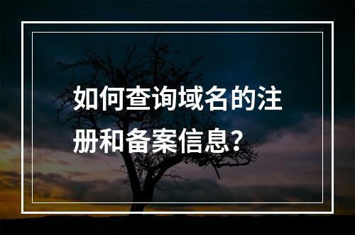 如何查询域名的注册和备案信息?