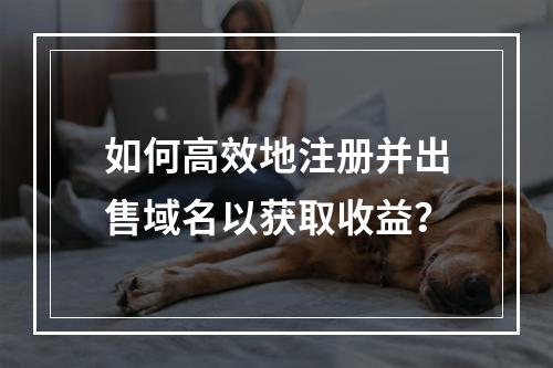 如何高效地注册并出售域名以获取收益?