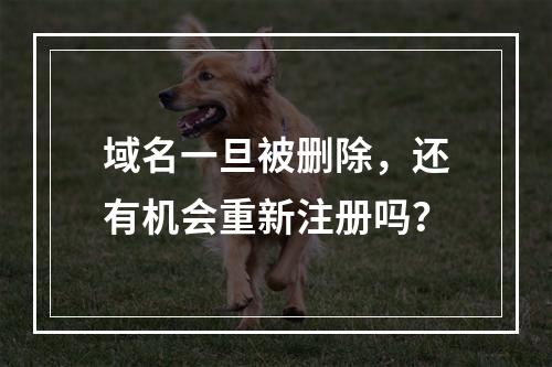 域名一旦被删除,还有机会重新注册吗?