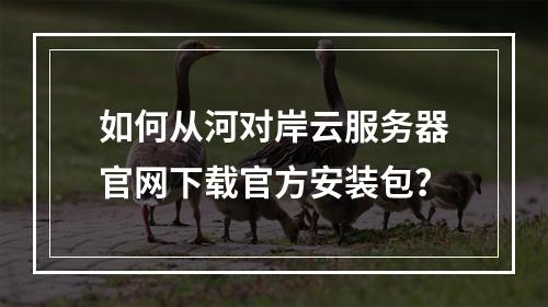 如何从河对岸云服务器官网下载官方安装包？