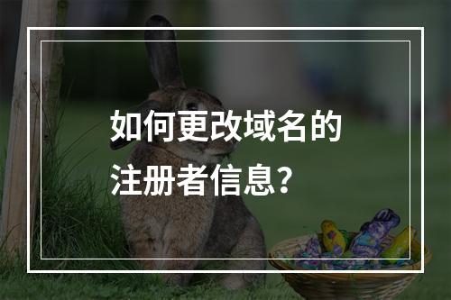 如何更改域名的注册者信息?