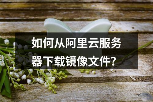 如何从阿里云服务器下载镜像文件？