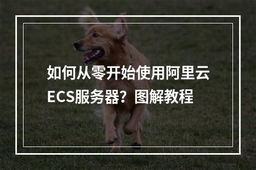 如何从零开始使用阿里云ECS服务器？图解教程