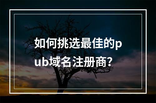 如何挑选最佳的pub域名注册商?