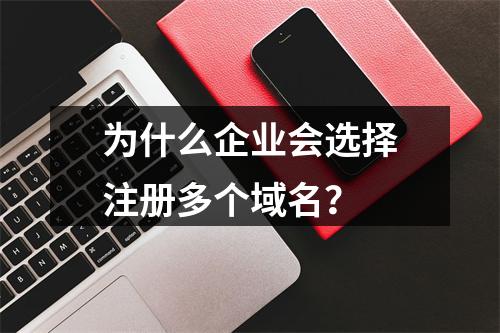 为什么企业会选择注册多个域名?