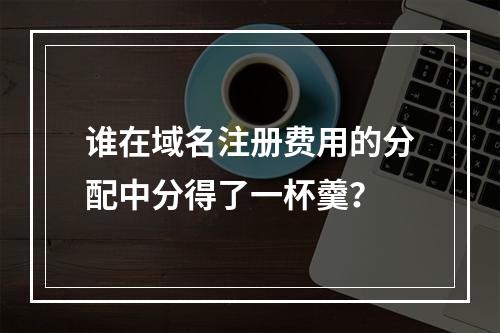 谁在域名注册费用的分配中分得了一杯羹?