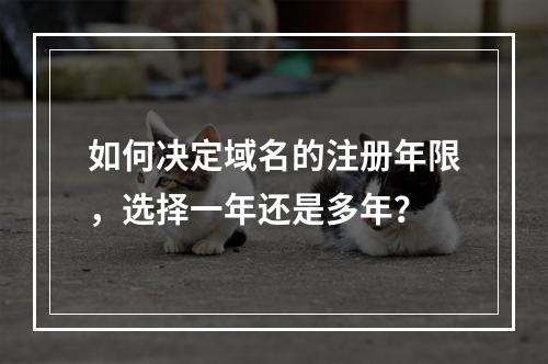 如何决定域名的注册年限,选择一年还是多年?