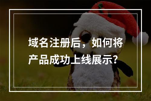 域名注册后,如何将产品成功上线展示?
