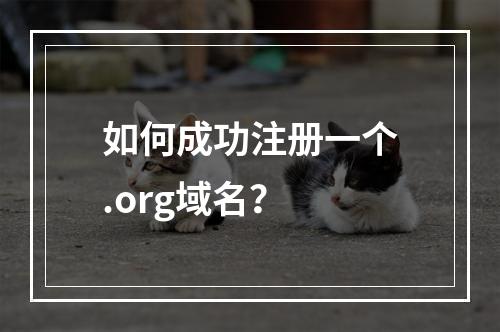 如何成功注册一个.org域名?