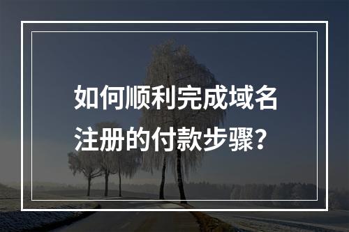 如何顺利完成域名注册的付款步骤?