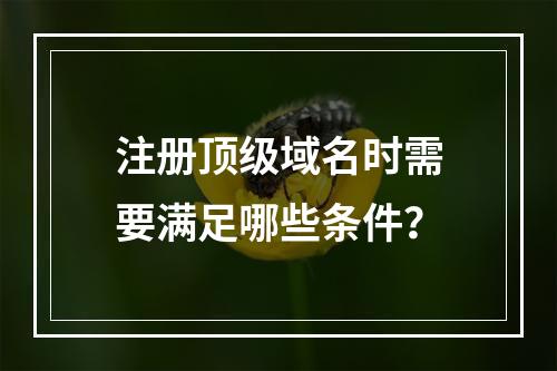 注册顶级域名时需要满足哪些条件?