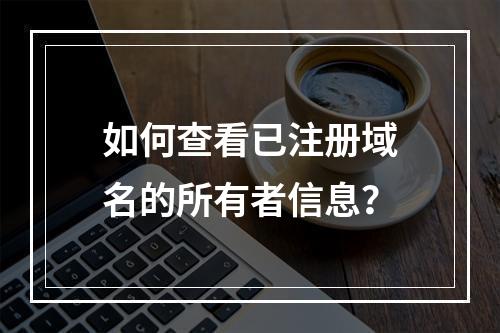 如何查看已注册域名的所有者信息?