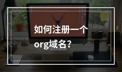 如何注册一个org域名?