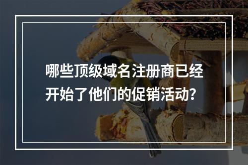 哪些顶级域名注册商已经开始了他们的促销活动?