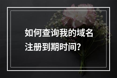如何查询我的域名注册到期时间?