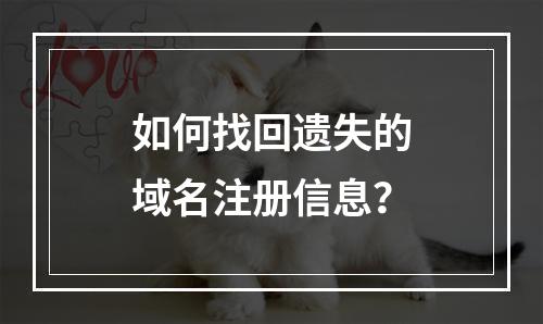 如何找回遗失的域名注册信息?