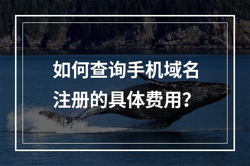 如何查询手机域名注册的具体费用?