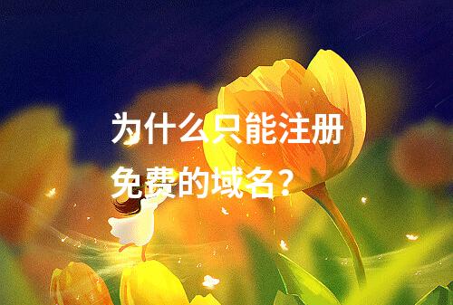为什么只能注册免费的域名?