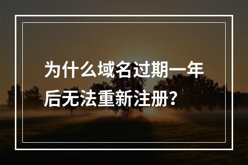 为什么域名过期一年后无法重新注册?