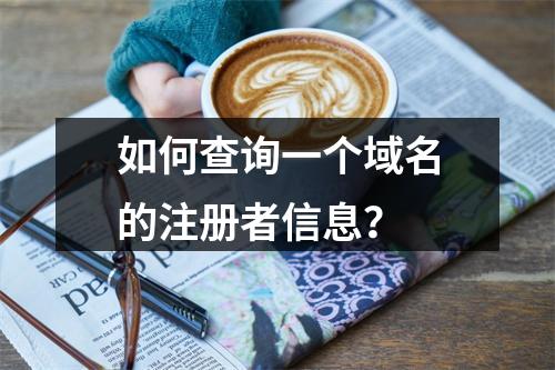 如何查询一个域名的注册者信息?