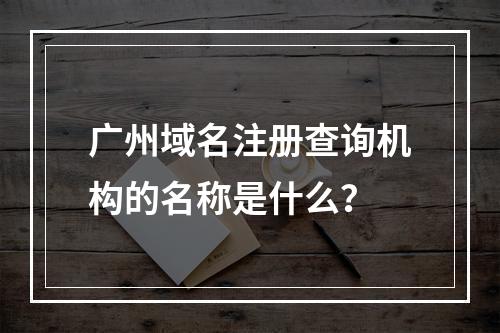 广州域名注册查询机构的名称是什么?