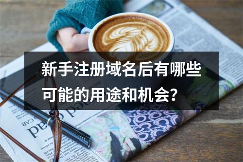 新手注册域名后有哪些可能的用途和机会?