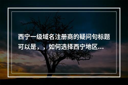 西宁一级域名注册商的疑问句标题可以是,,如何选择西宁地区的一级域名注册服务商?