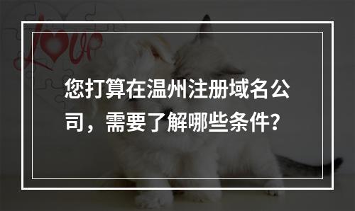 您打算在温州注册域名公司,需要了解哪些条件?