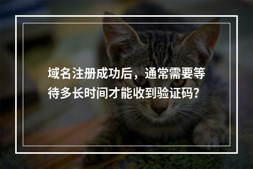 域名注册成功后,通常需要等待多长时间才能收到验证码?