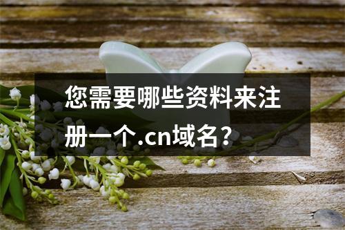 您需要哪些资料来注册一个.cn域名?