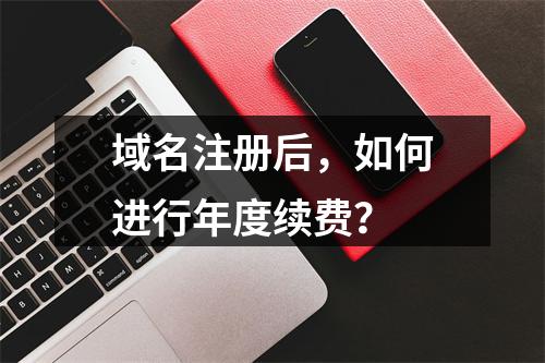 域名注册后,如何进行年度续费?