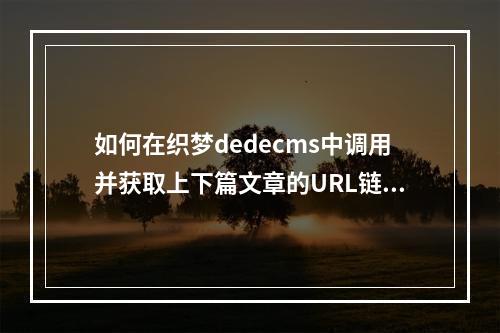 如何在织梦dedecms中调用并获取上下篇文章的URL链接?