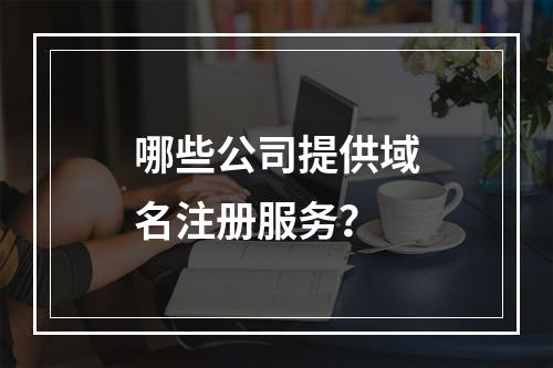 哪些公司提供域名注册服务?