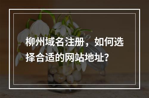 柳州域名注册,如何选择合适的网站地址?